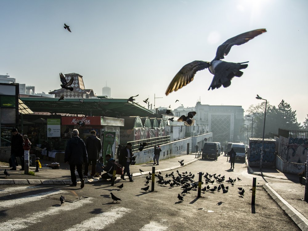 Photograph by  Dimitar