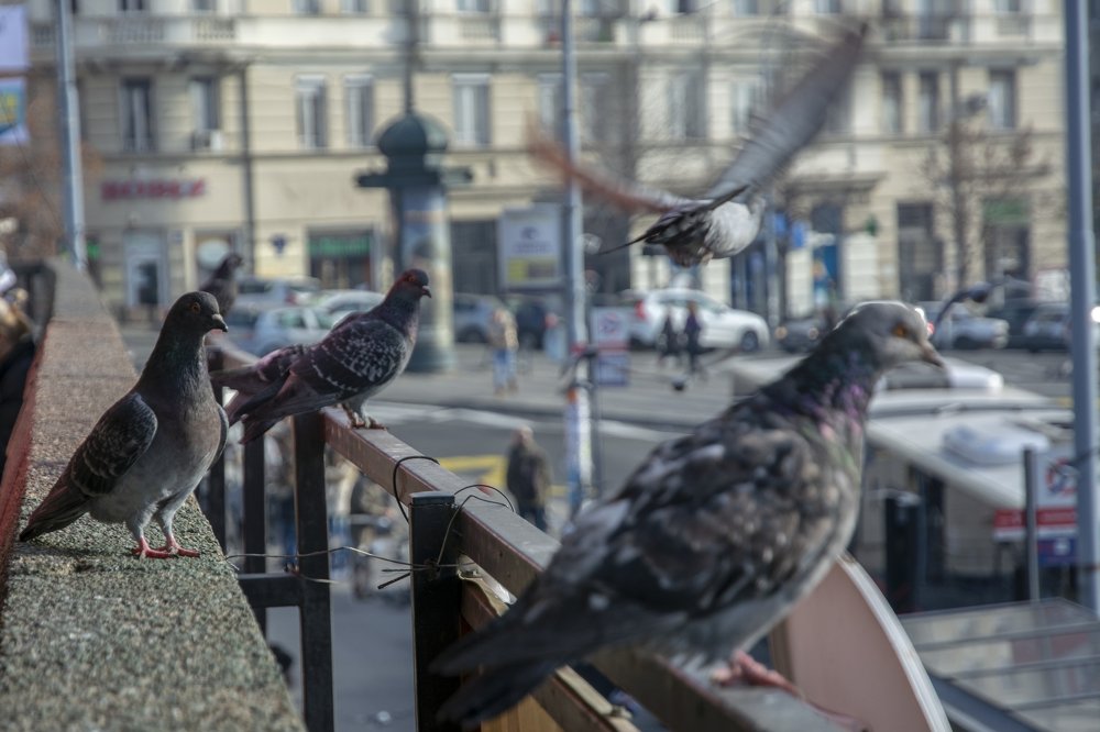 Photograph by  Dimitar