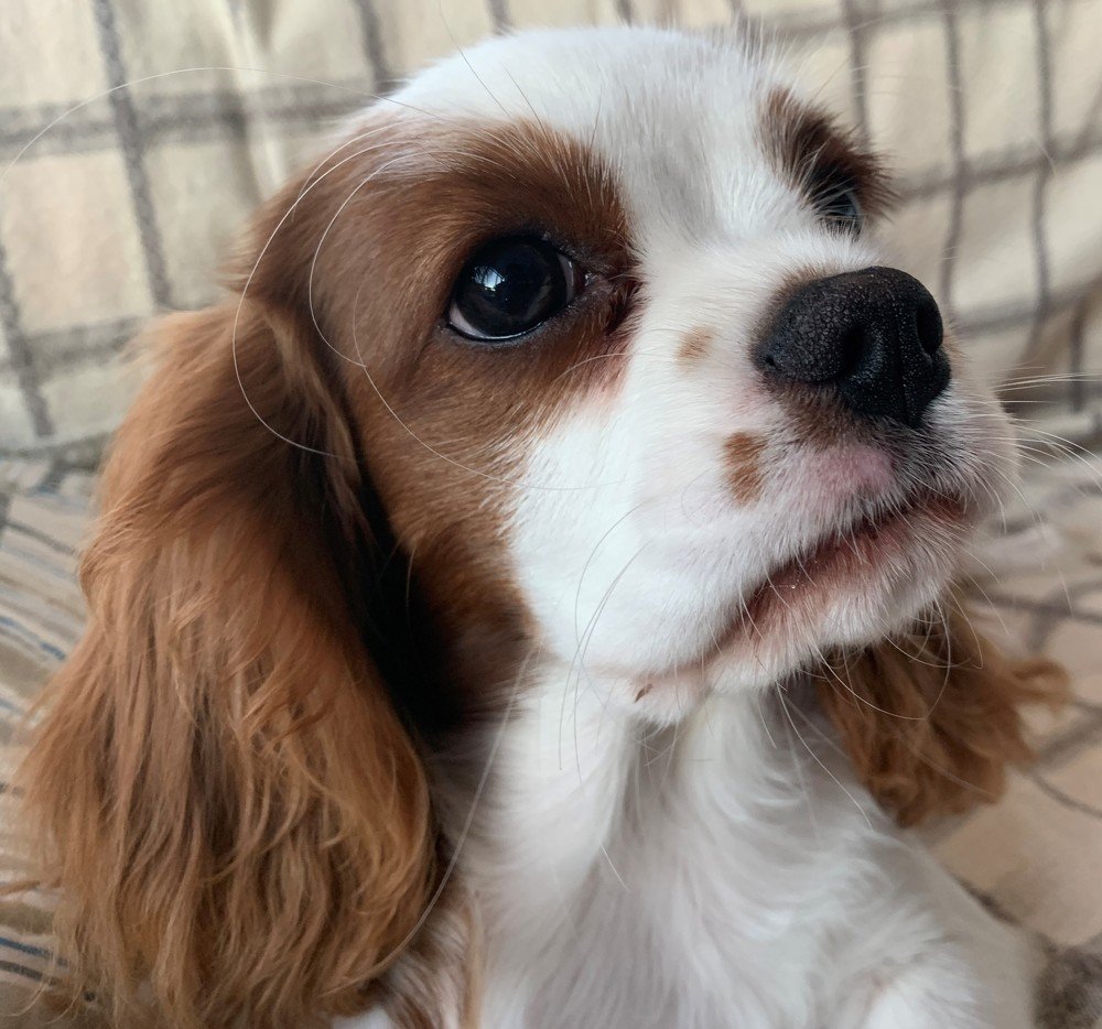 Photograph by AKIN KALAYCI