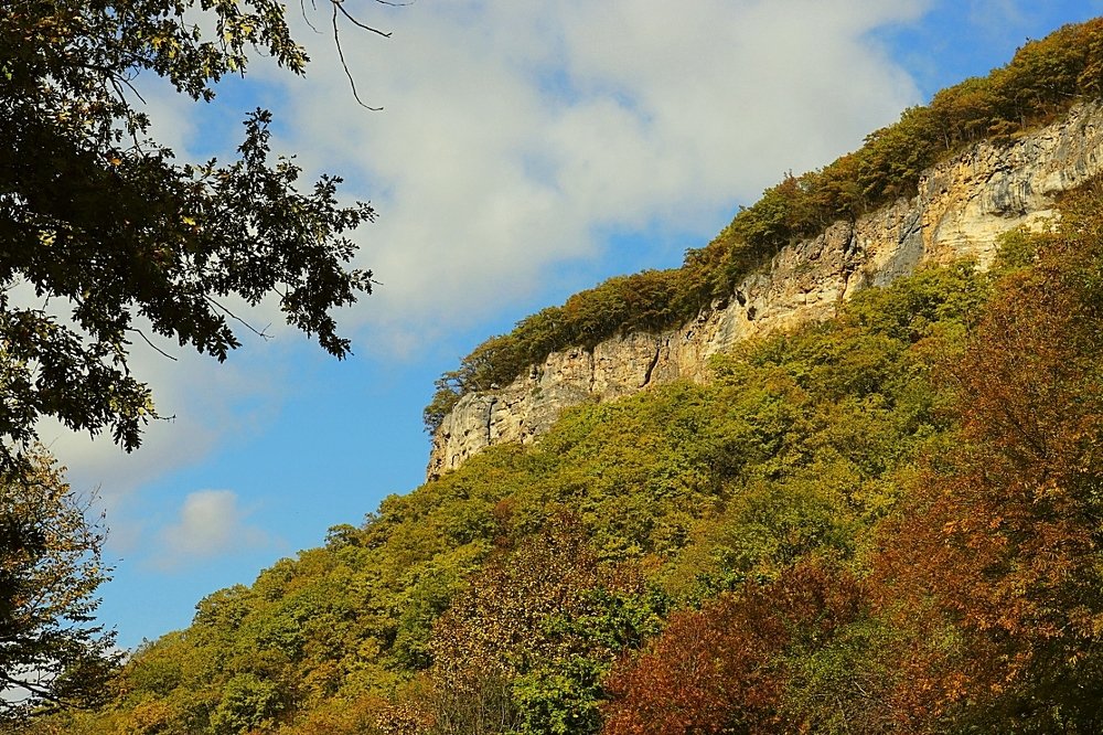 Photograph by Олег Башкуров