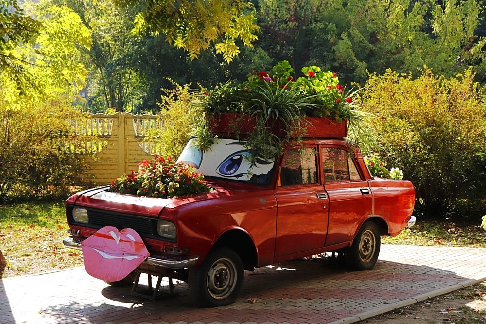 Photograph by Олег Башкуров