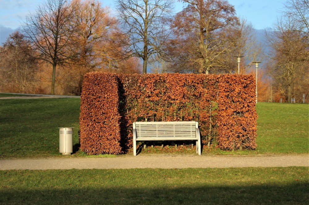 Фотография автора Юлианна Гуртовенко