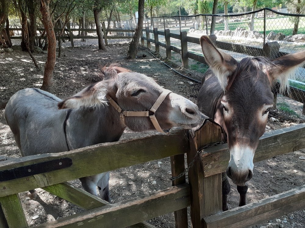 May I have a kiss honey?