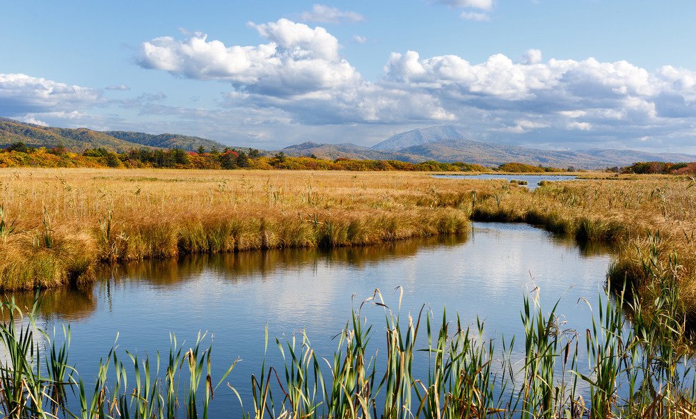 Угодья охотничьи...