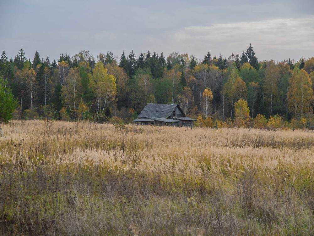 Прощание с ,,бабьим летом."
