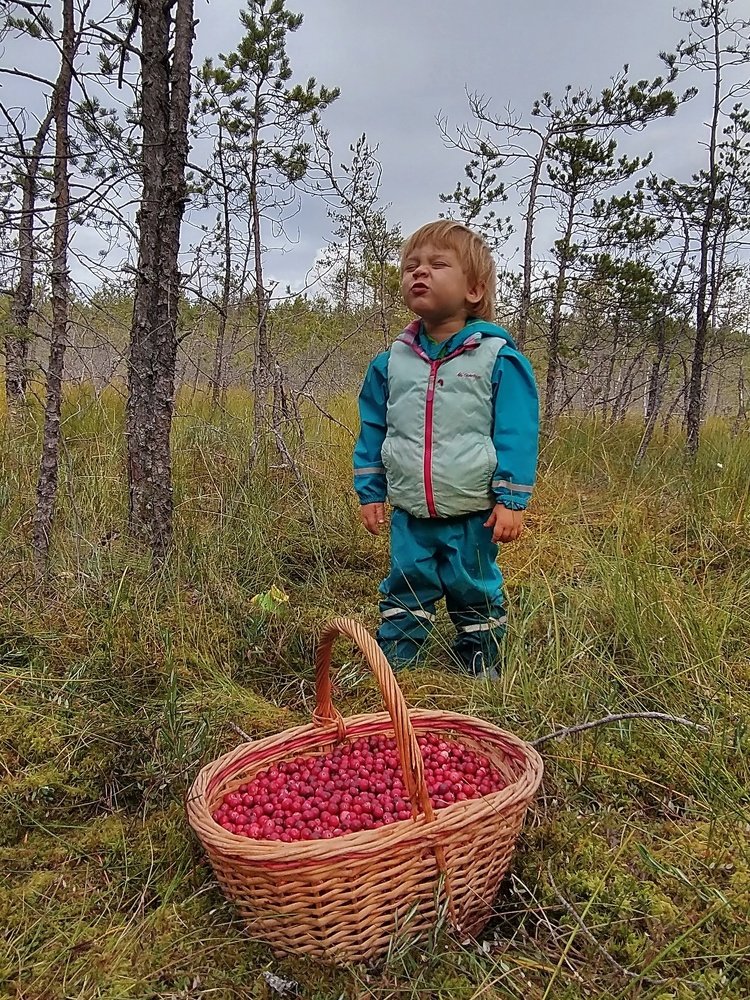 Photograph by Елизавета Рембицкая