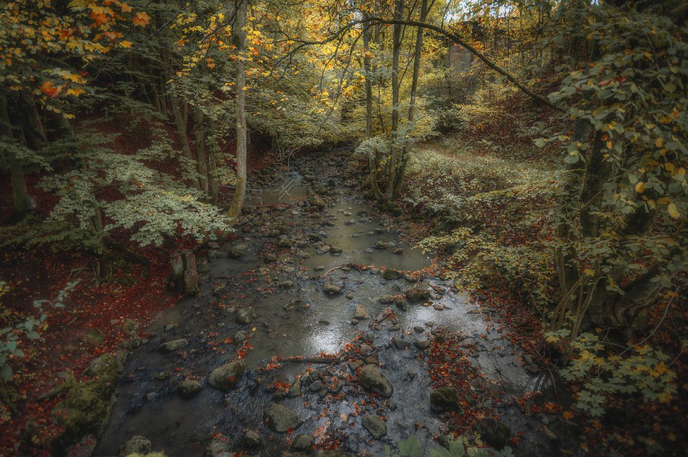 Photograph by Ali Kusoglu