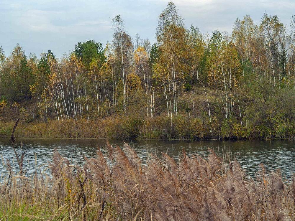 Теплый октябрь