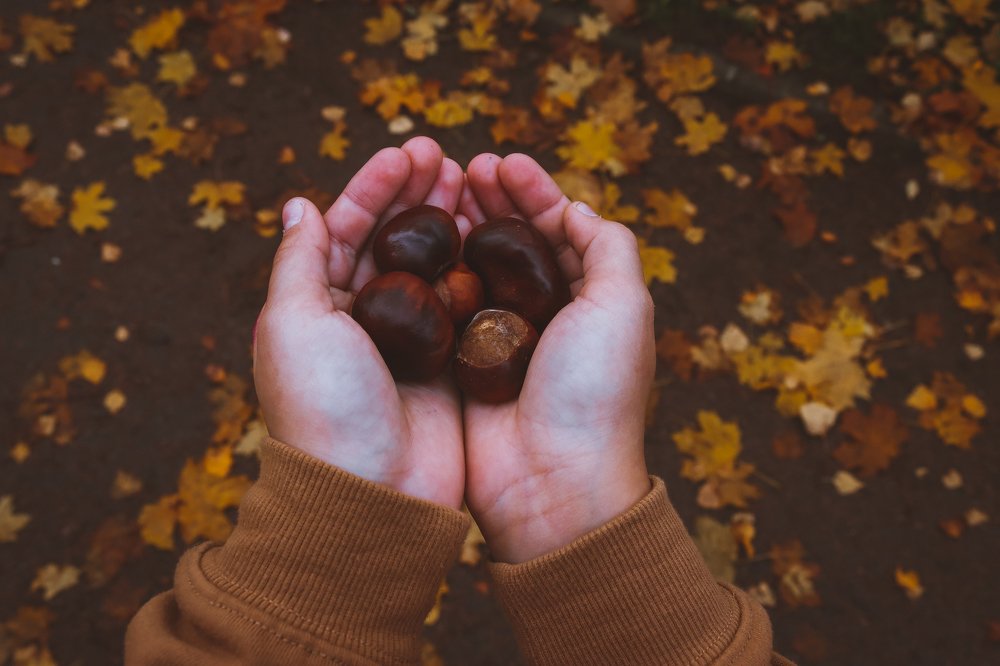 Photograph by Алина Логвиненко