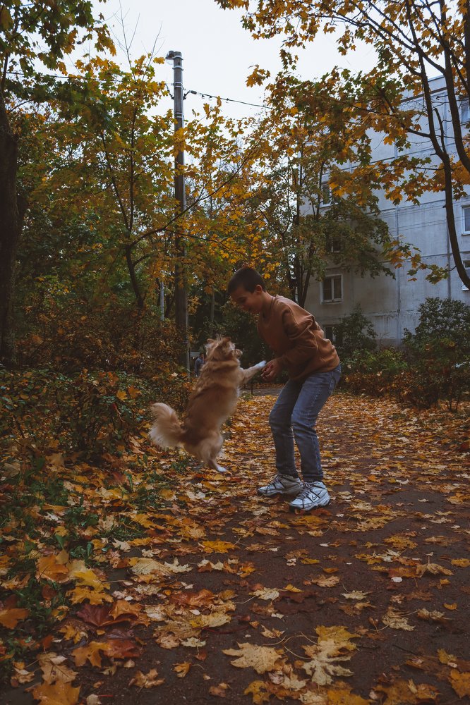 Photograph by Алина Логвиненко