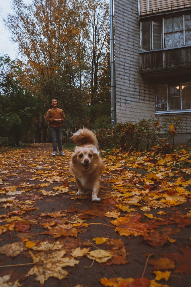 Photograph by Алина Логвиненко