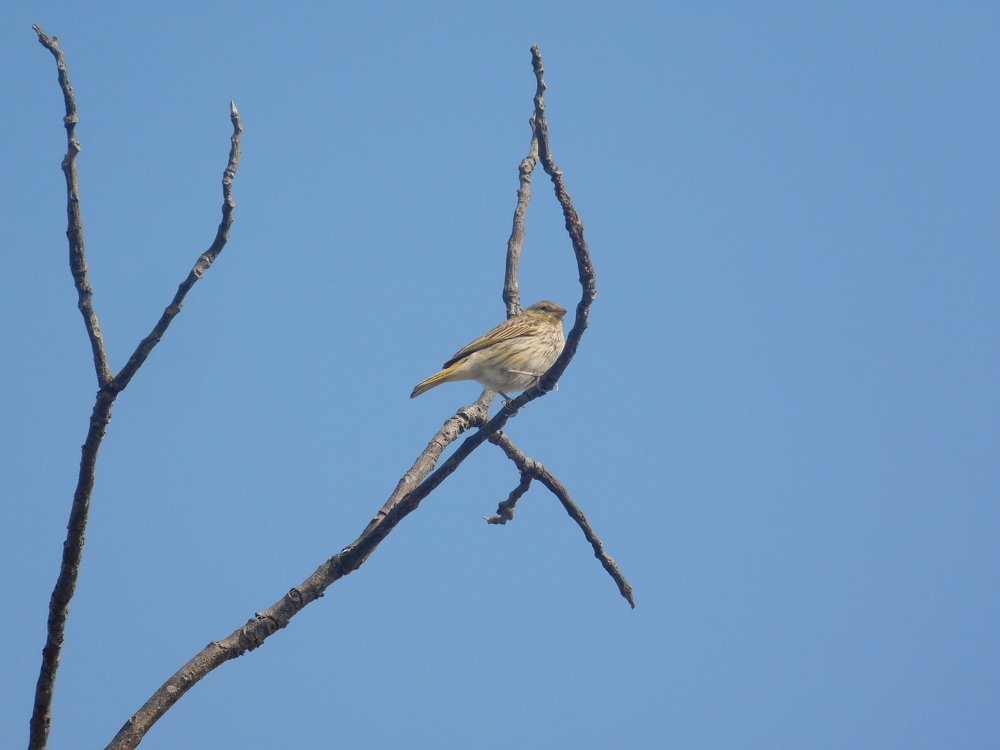 Photograph by Maria Celeste Efesi