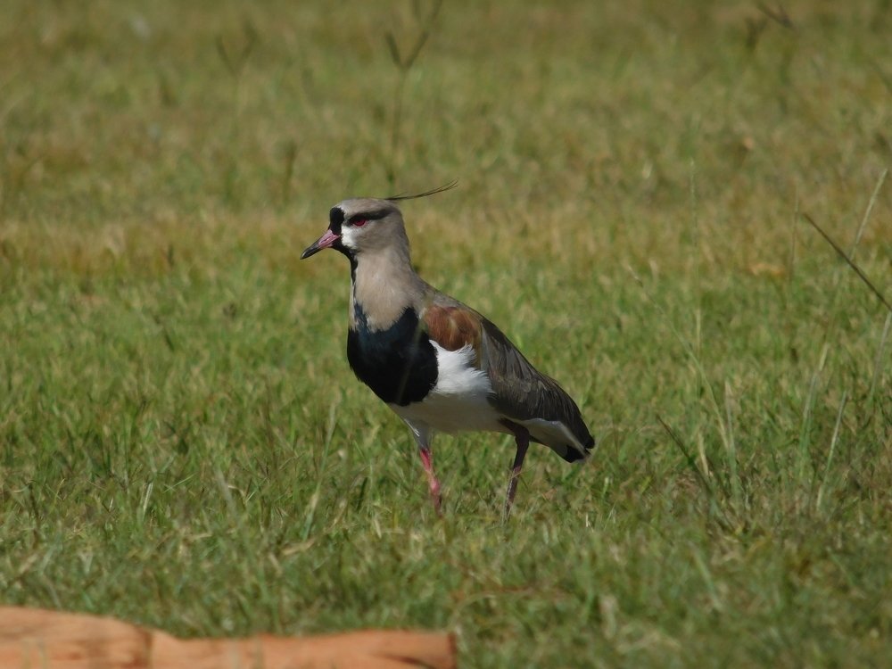 Photograph by Maria Celeste Efesi