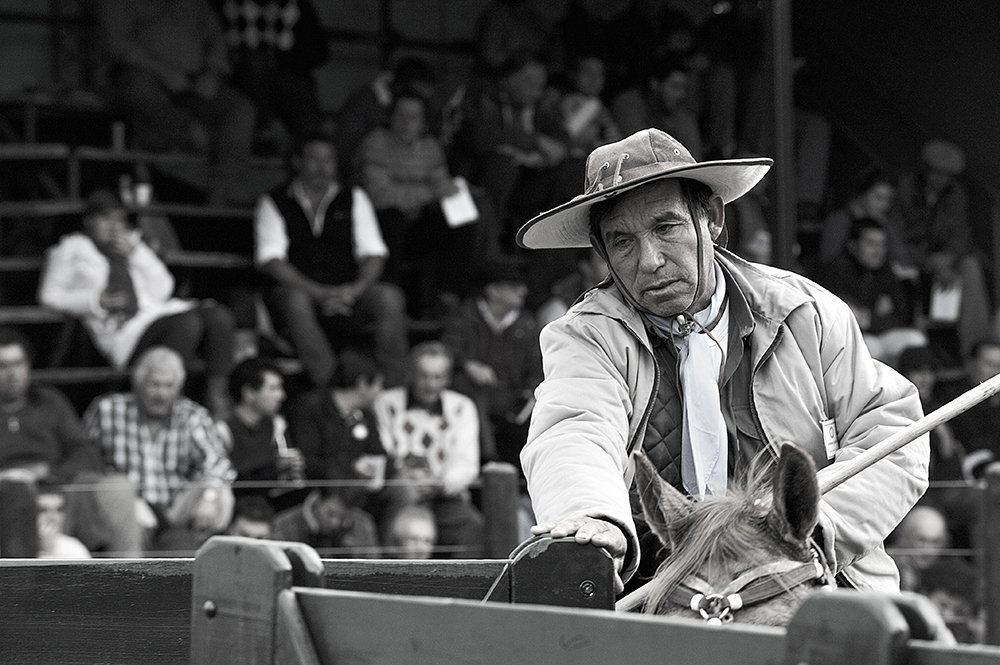 Фотография автора gustavo abbate