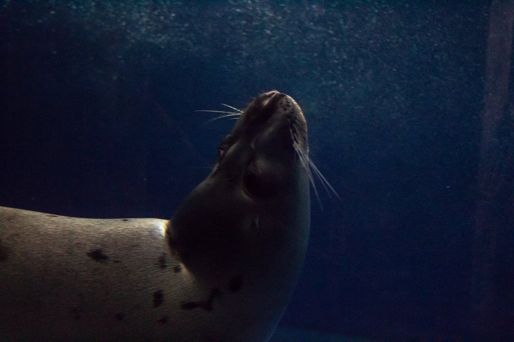 Photograph by Алина Логвиненко