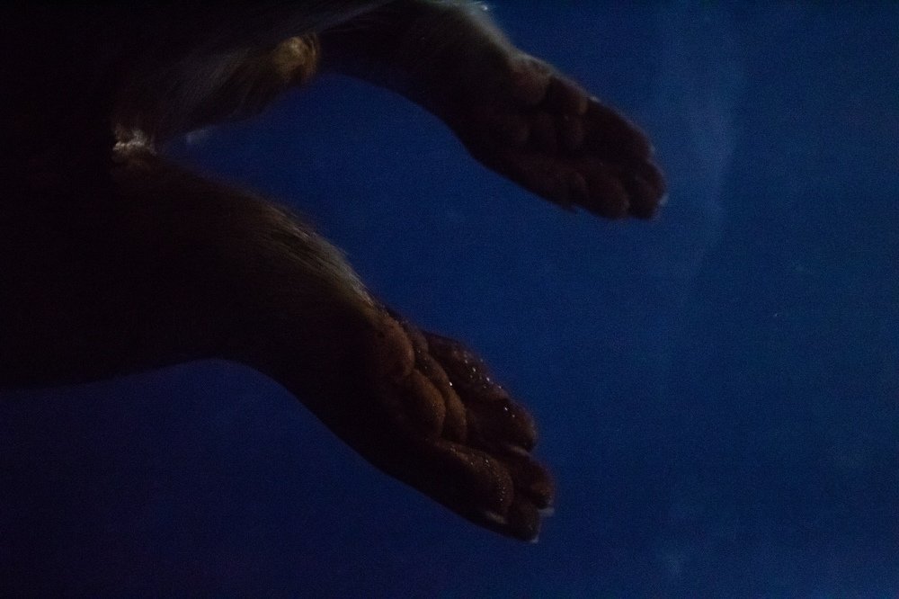 Photograph by Алина Логвиненко