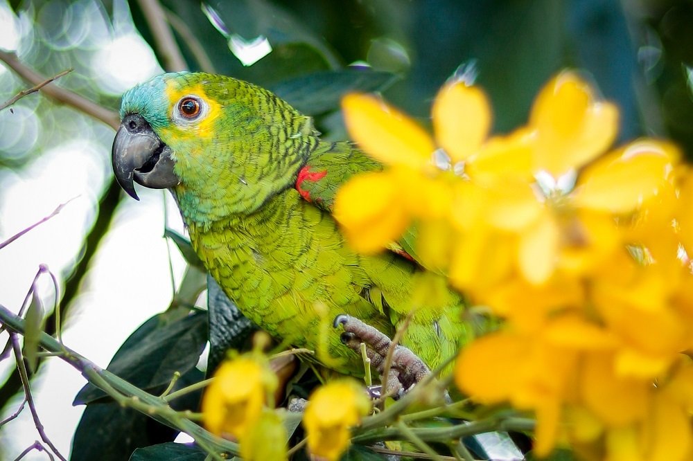 Photograph by Lucimara Rodrigues