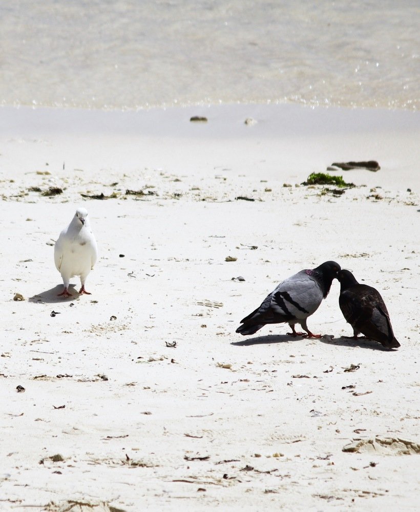 Photograph by Sunshine Mae Guillermo