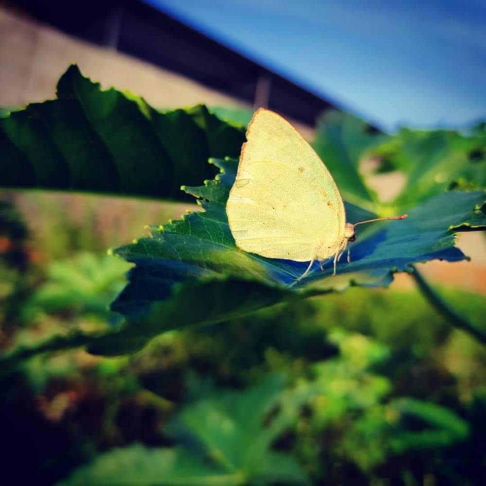 Photograph by Diwakaran D