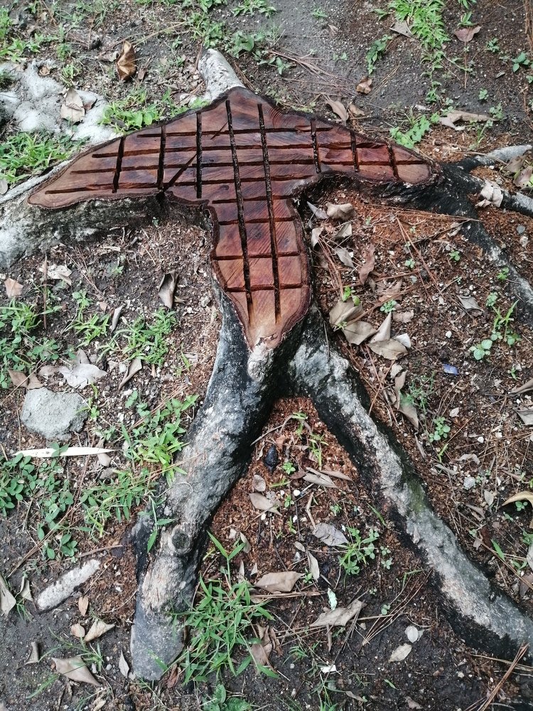 Photograph by César Choto