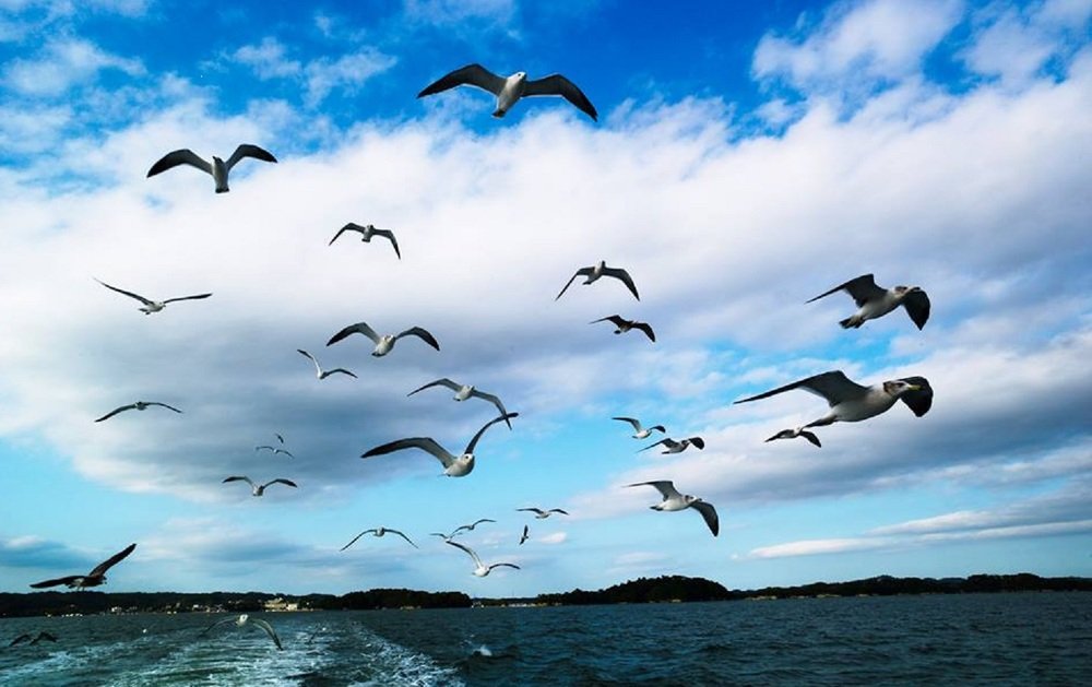 Photograph by Geraldo Amarildo Silva