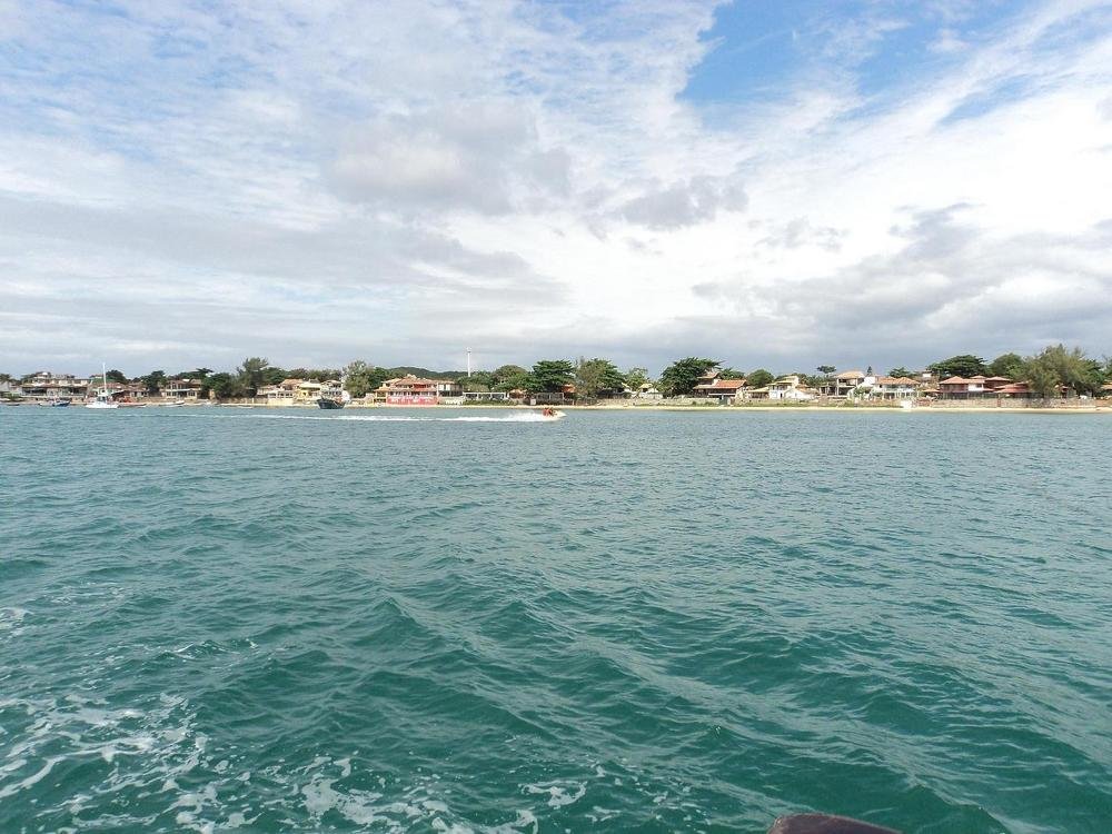 Photo #5091656