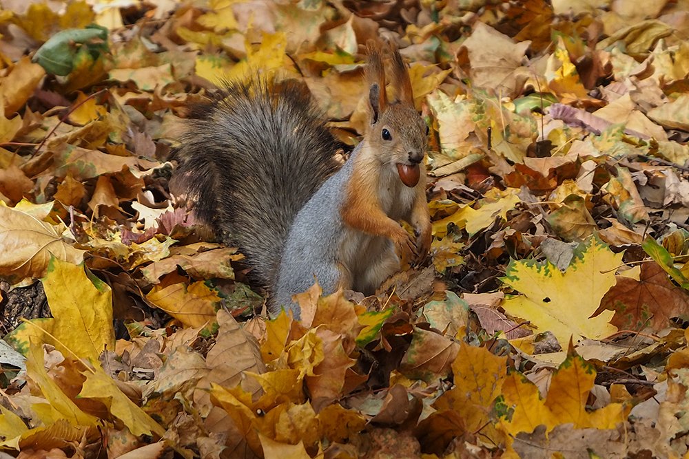 Photograph by Elena Khalizova