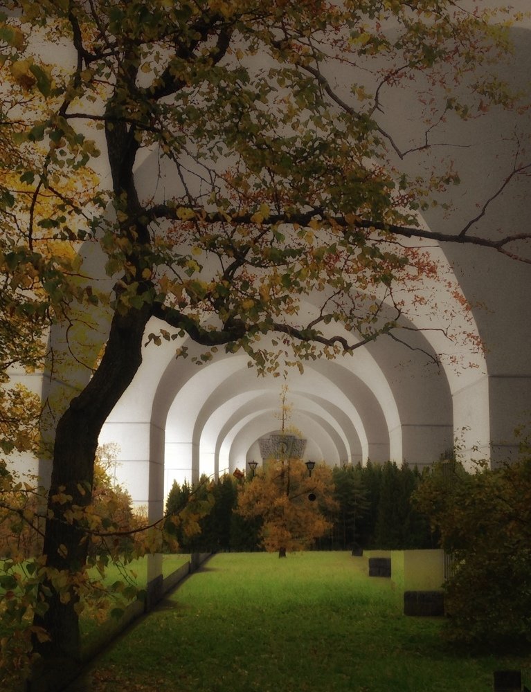 Photograph by Елена Амосова