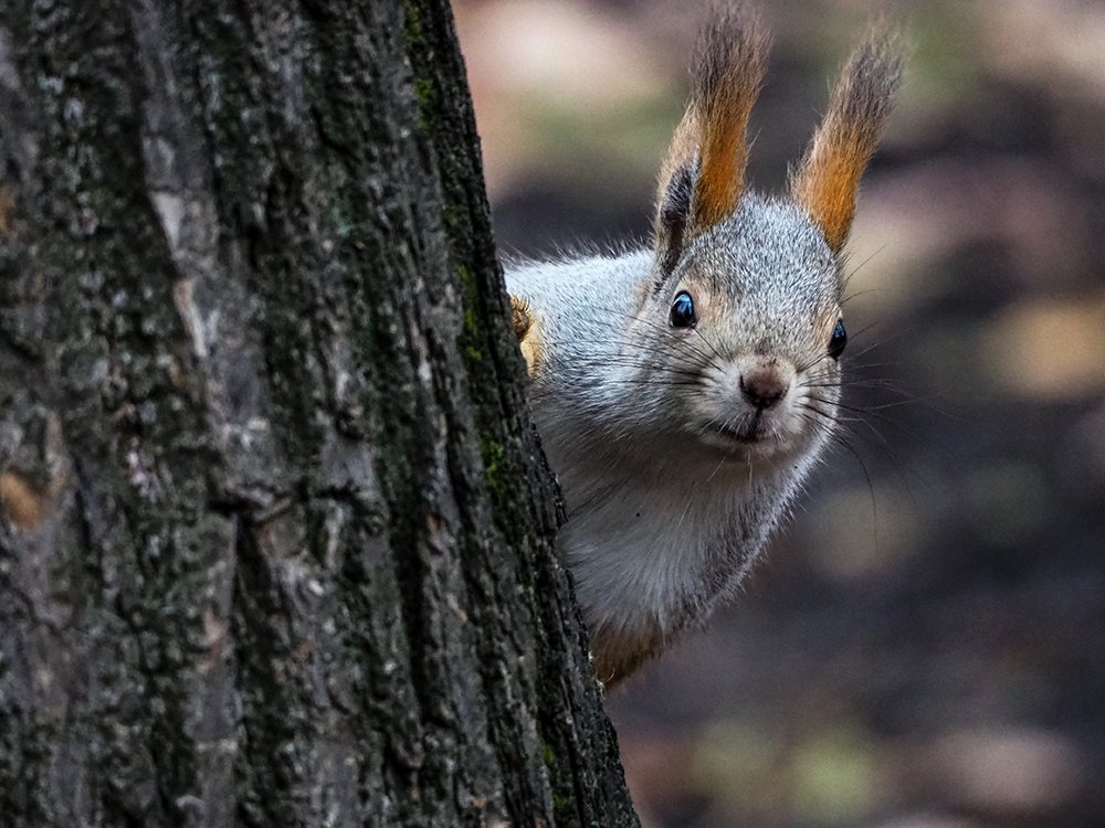 Photograph by Elena Khalizova