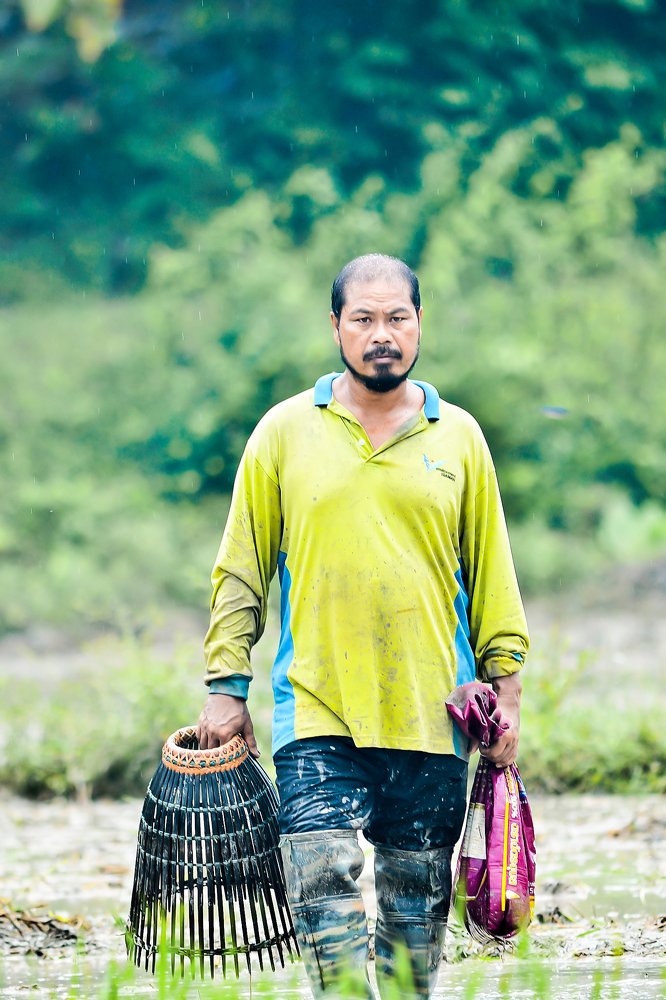 traditional fish catcher