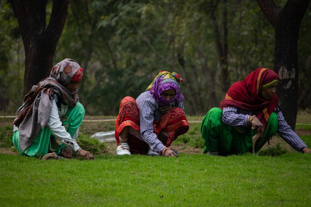 Photograph by Saifi Zubair