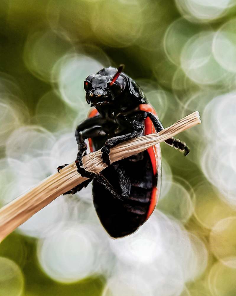 Photograph by Gourav Yadav