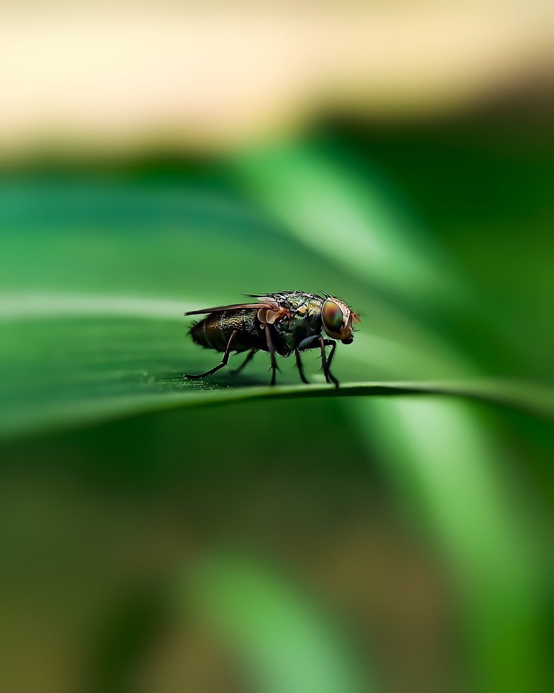 Photograph by Gourav Yadav