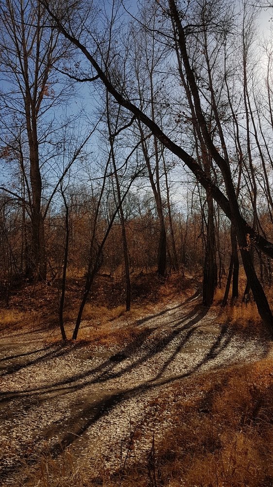 Photograph by Наталья Анисимова