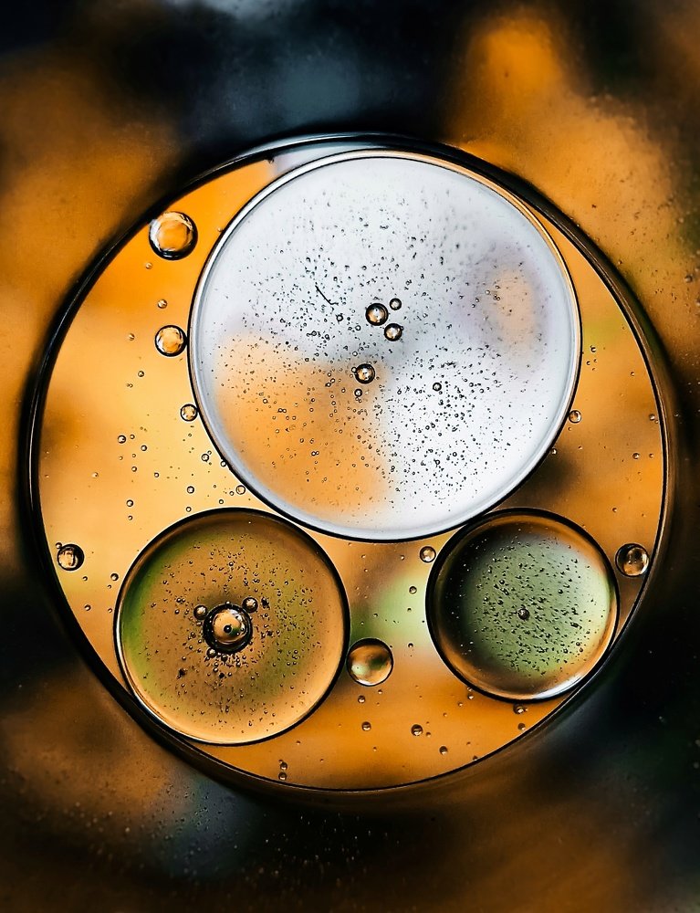 Photograph by Gourav Yadav