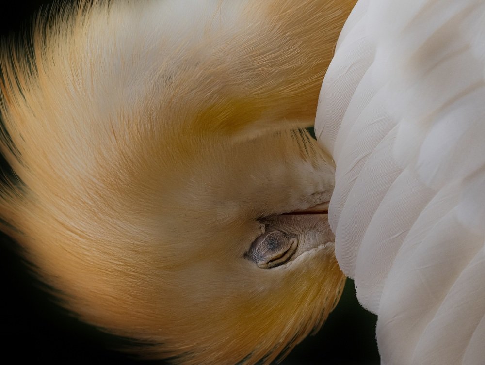 Photograph by Catherine Chong