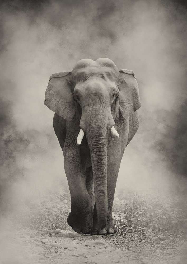 Photograph by Smita Behera