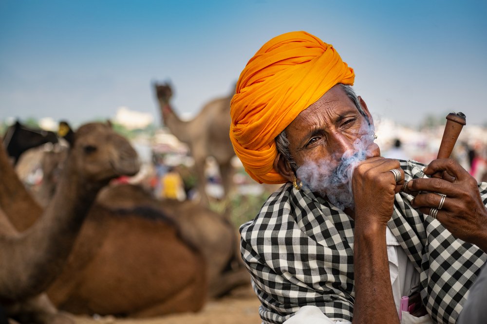 Faces of cattle fair.