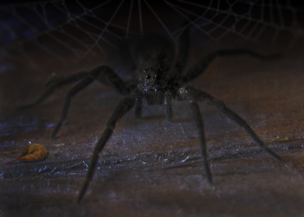 Photograph by Владимир