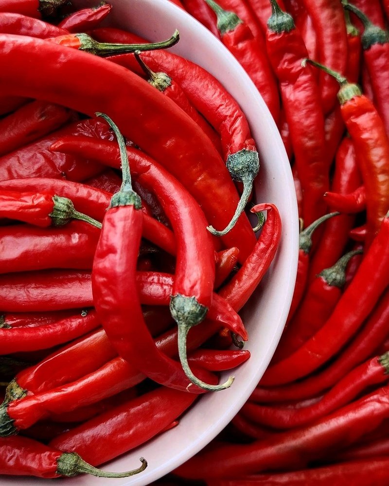 Photograph by Soleimani