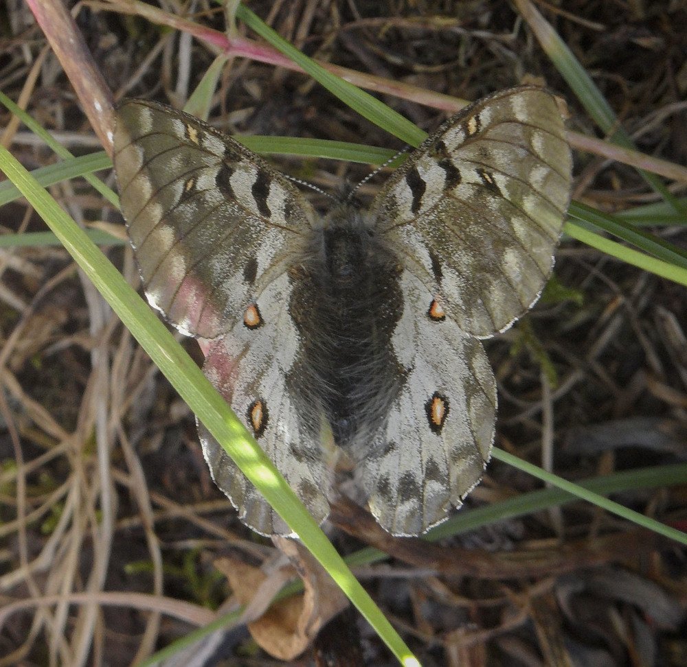 Photograph by Алексей Логинов