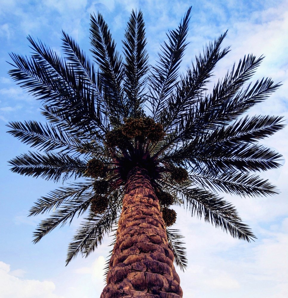 Photograph by Soleimani