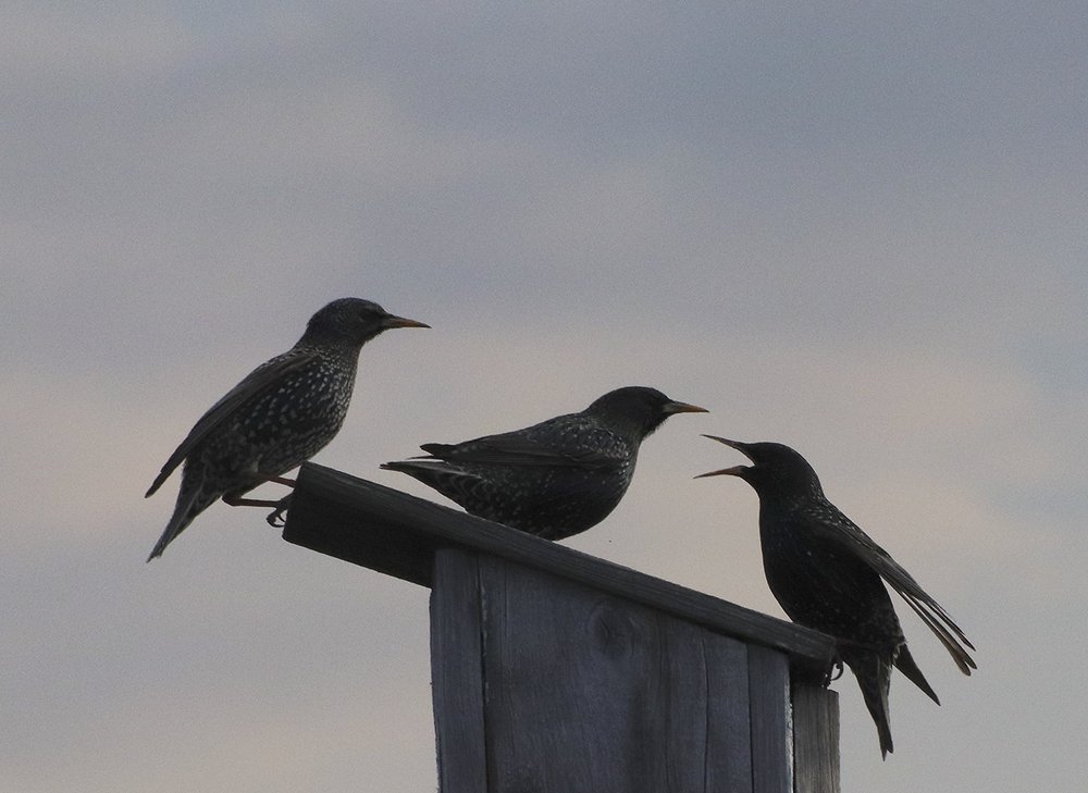 Photograph by Владимир