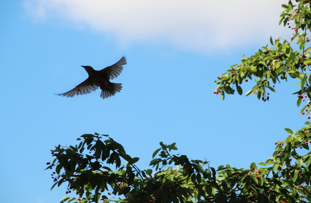 Photograph by Илья Беликов