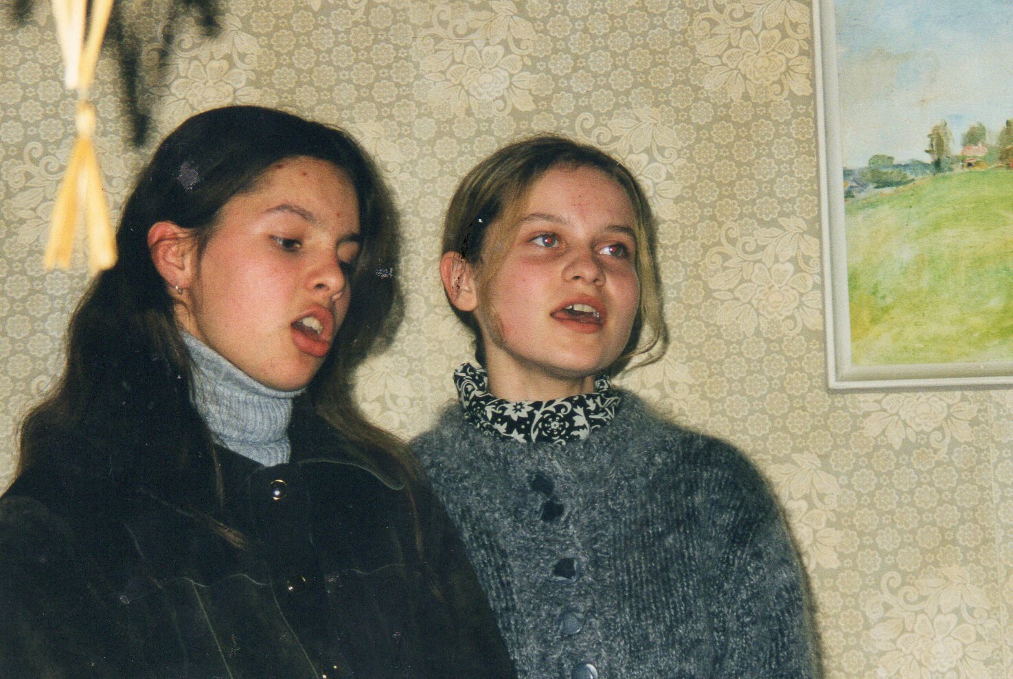 Photo #5091966