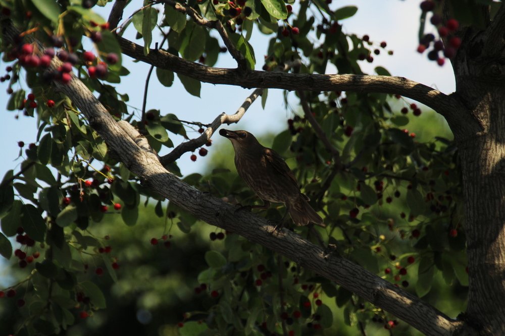 Photograph by Илья Беликов