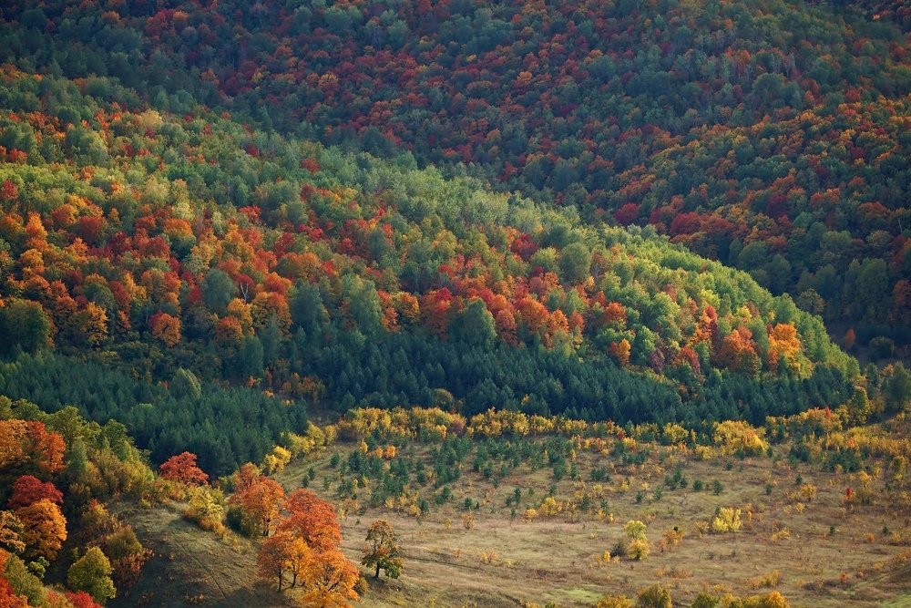 Photograph by Александр Попов