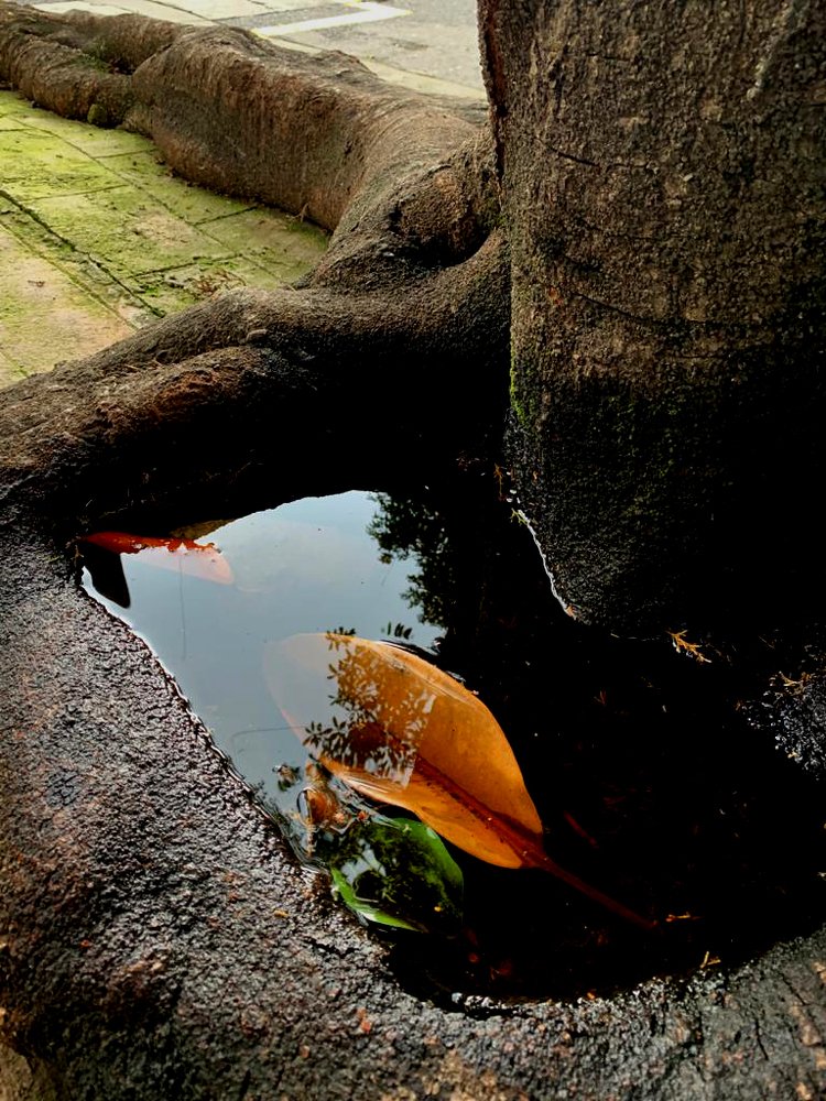 Photograph by tatiana stroganova