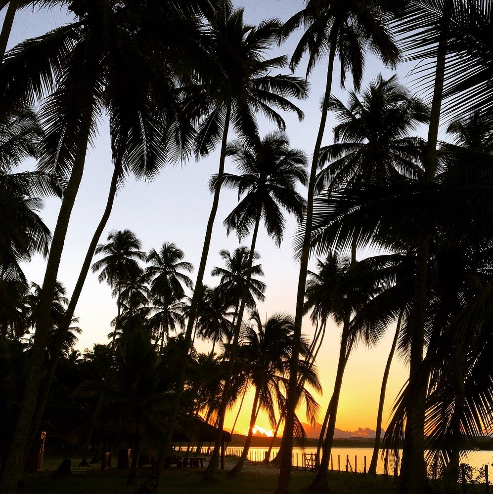 Photograph by Lisiane Kindlein