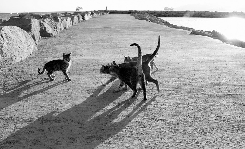 Photograph by Игорь